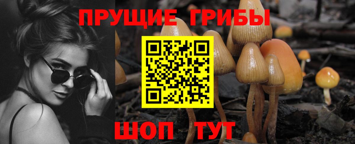 Псилоцибиновые грибы Psilocybine cubensis Южно-Сахалинск