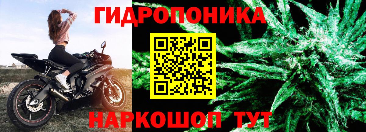 Канабис план Южно-Сахалинск